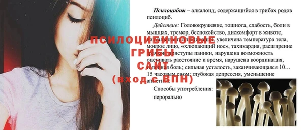 гашик Балахна