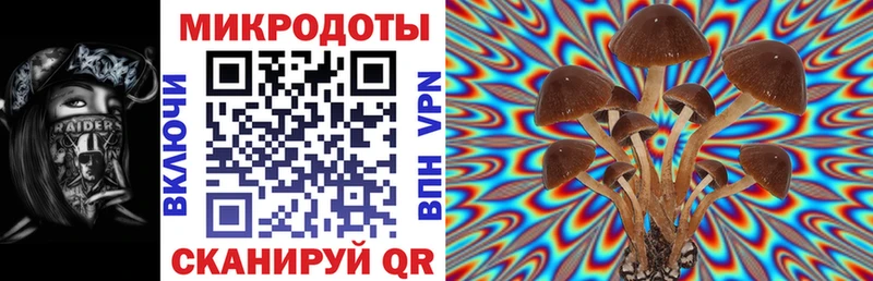 Псилоцибиновые грибы Magic Shrooms  Плавск 